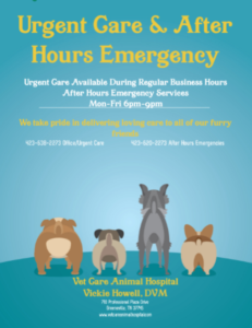 Emergency Contact Information | Veterinarians Greenville | Vet Care ...